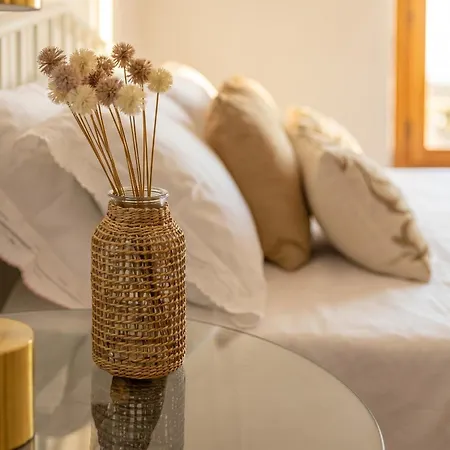 Garden Spacious With A Private Garden In The Heart Of Villa Alghero